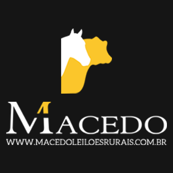 Macedo Leiloes